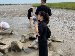 -南汇嘴观海公园