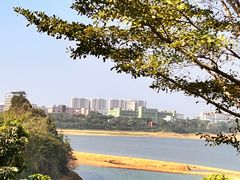 -立新湖公园