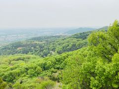 -北京西山国家森林公园