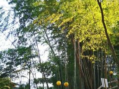 -花水湾第一村温泉大酒店