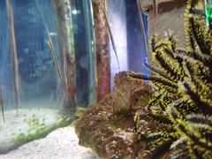 -太平洋海底世界