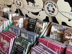 -大象粑粑造纸公园