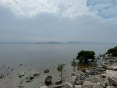-深圳湾公园(南山区)