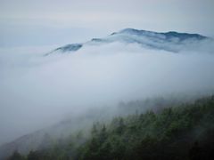 -白草畔自然风景区