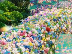 -上海共青森林公园