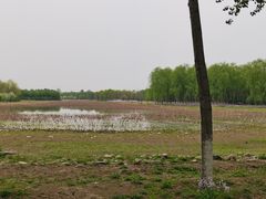 -东郊湿地公园