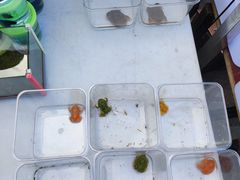 -华声天桥民俗文化园