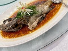 -渔港明珠酒店(星海广场店)