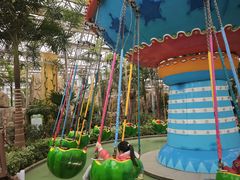 -南宫五洲植物乐园