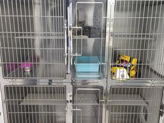 -乖乖宠物医院·猫科·急重症中心(车站北路分院)