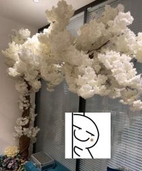 -韩静美科技护肤抗衰中心