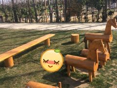 -前小桔亲子创意农场·草莓采摘·露营烧烤