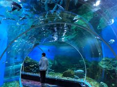 -顺德南宏海立方海洋公园