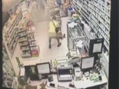 盛京一禾-盛京一禾