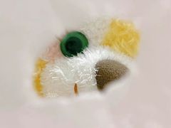 -小团圆糖水铺(襄阳南路店)