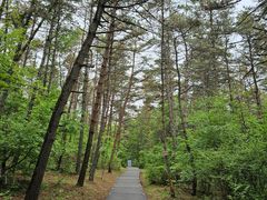 -帽儿山国家森林公园