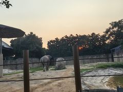 -杭州野生动物世界