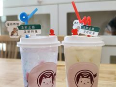 海盐樱花-楼上猫咖(罗湖店)