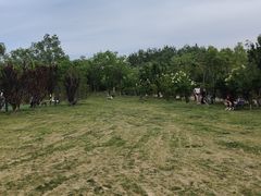 -爪吧宠物乐园·宠物泳池(温榆河示范区店)