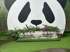 -都江堰中华大熊猫苑