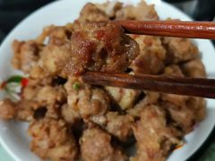 -张记烤羊腿(北花园店)