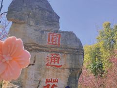 -昆明动物园