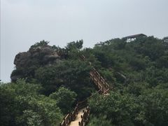 -大岭沟猕猴桃谷风景区