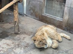 -西安秦岭野生动物园