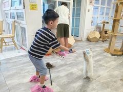 -楼上猫咖(罗湖店)