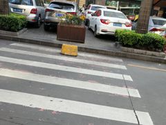 -宝兴源记手撕鸡(第88分店)