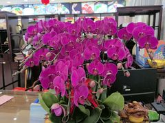 -金华安大酒楼·老牌潮菜·粤式茶点(东方国际店)