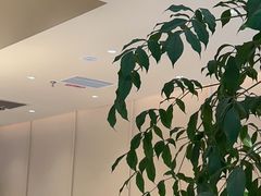 -Peet's 皮爷咖啡(海雅缤纷城店)