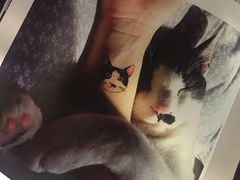 -猫咪博物馆(顶澳仔猫街店)