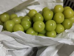 -马陆小张葡萄园农家乐