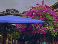 -海韵人家.海景花园经典云南菜(双廊店)