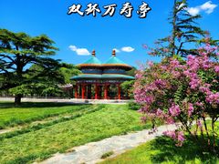 -天坛公园
