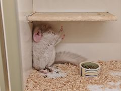 -龙猫仔乐园(惠福东路店)