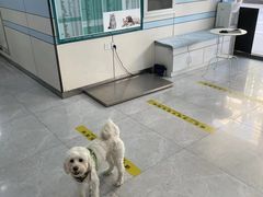 -中农国际动物医院24小时·猫科·骨科·急重症中心