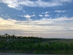 -南汇嘴观海公园