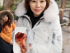 -迪士尼火鸡腿