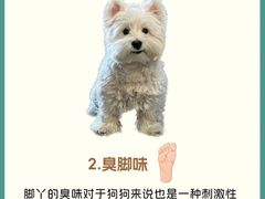 -守诺宠物医院·眼科· 特色牙科·异宠专科(虹口店)