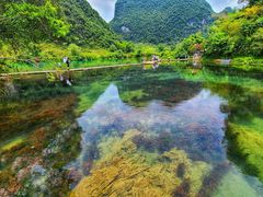 -靖西鹅泉风景区
