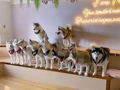 -Husky Go! 哈士奇体验馆·宠物咖啡厅狗咖