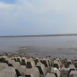 奉贤海湾