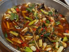-张太婆老妈蹄花川菜馆·中华餐饮老字号(望平街店)