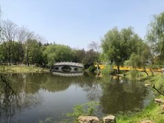 -月湖风景区