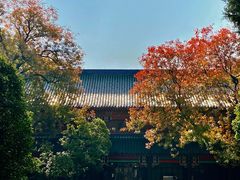 -灵谷景区