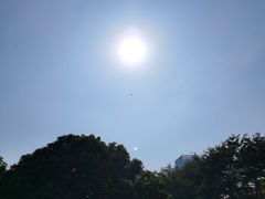 -荔香公园