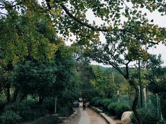 景点-雨花胜境