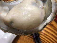 -蚝专家(北滘店)